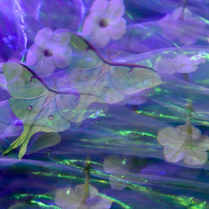 SOMNIUM: ACTIAS LUNA