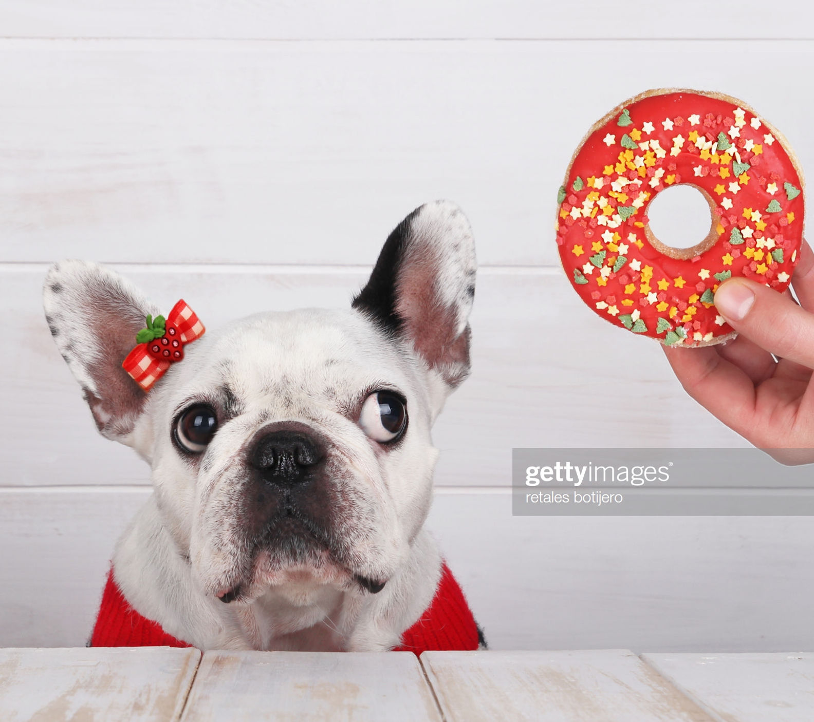 xmas at wwww.libertybankcardusa.com