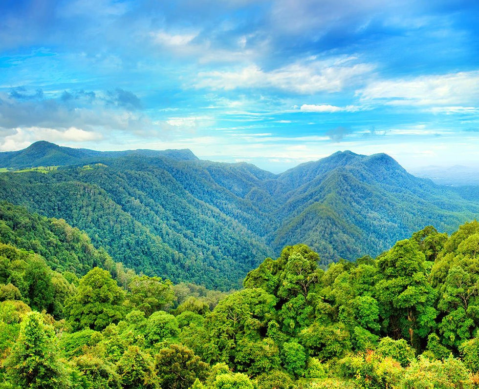 forestry at www.leasetronix.com