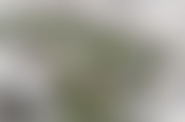 İmar barışında en çok merak edilen 12 soru