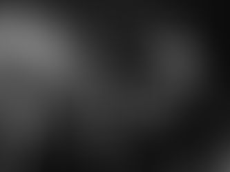 The Honorary Title Announces Anniversary Show