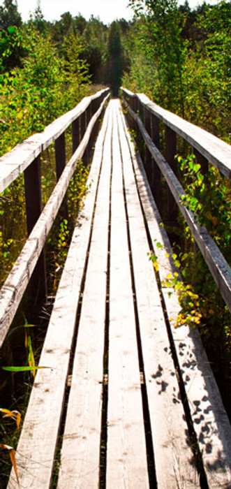 Clean finnish nature