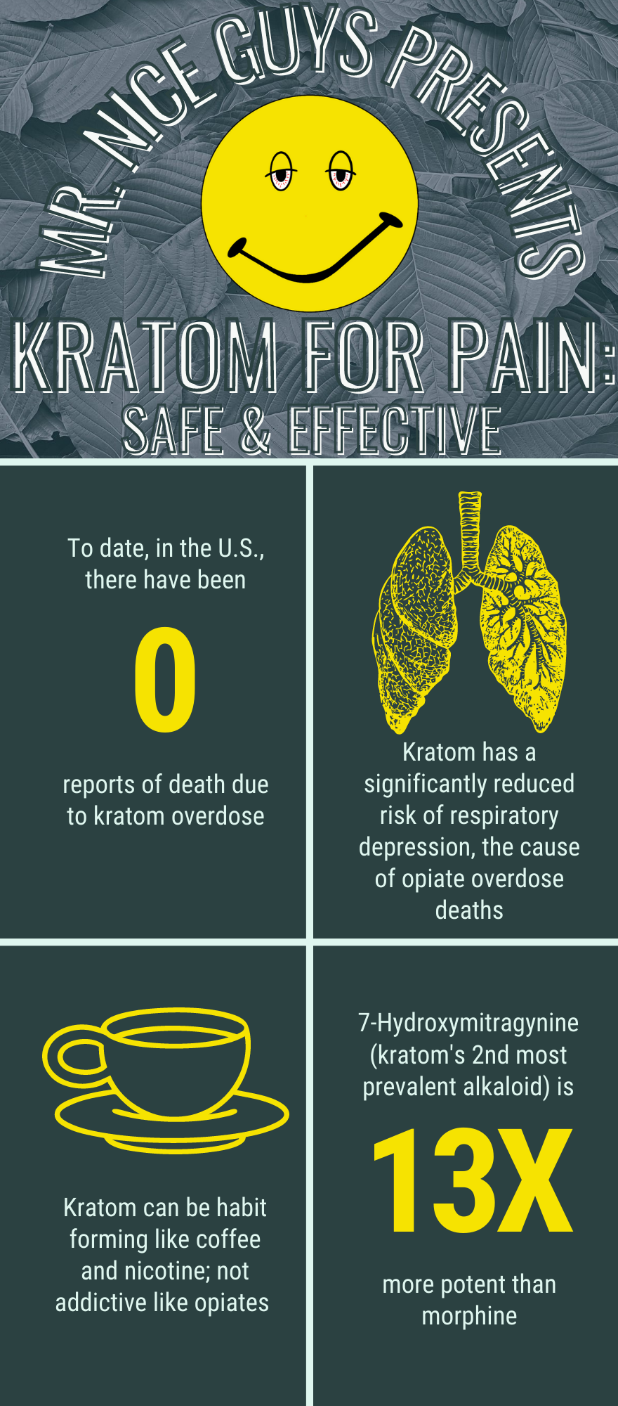 Kratom for Pain: safe and effective, brought to you by Mr. Nice Guys