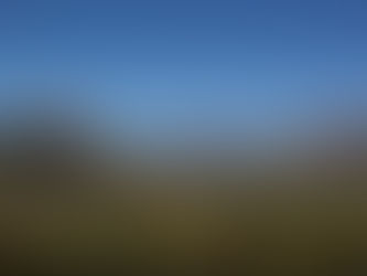 A Steward of the Land I Love: My Experience with Environmental Stewardship Programs