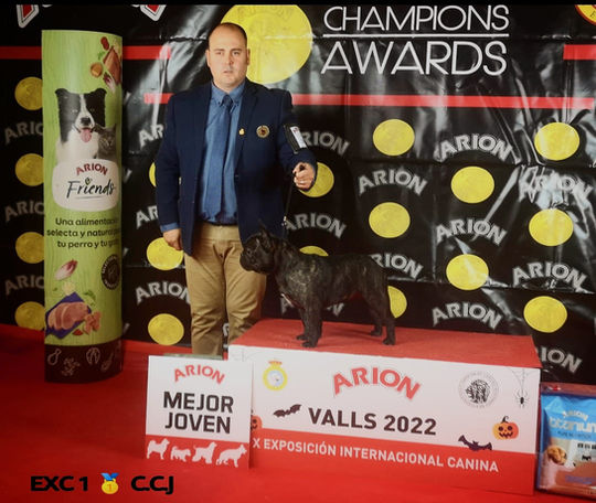 WhatsApp Image 2022-11-03 at 07.55.38 (2).jpeg