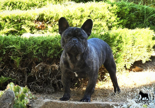 WhatsApp Image 2022-07-10 at 12.42.40 PM (3).jpeg