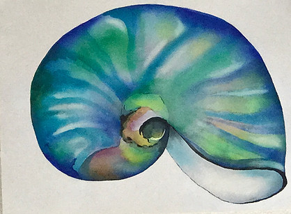 Blue nautilus shell watrcolor