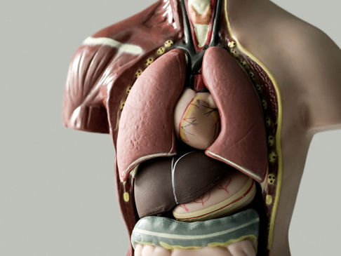 # Hepatitis... una afección de cuidado