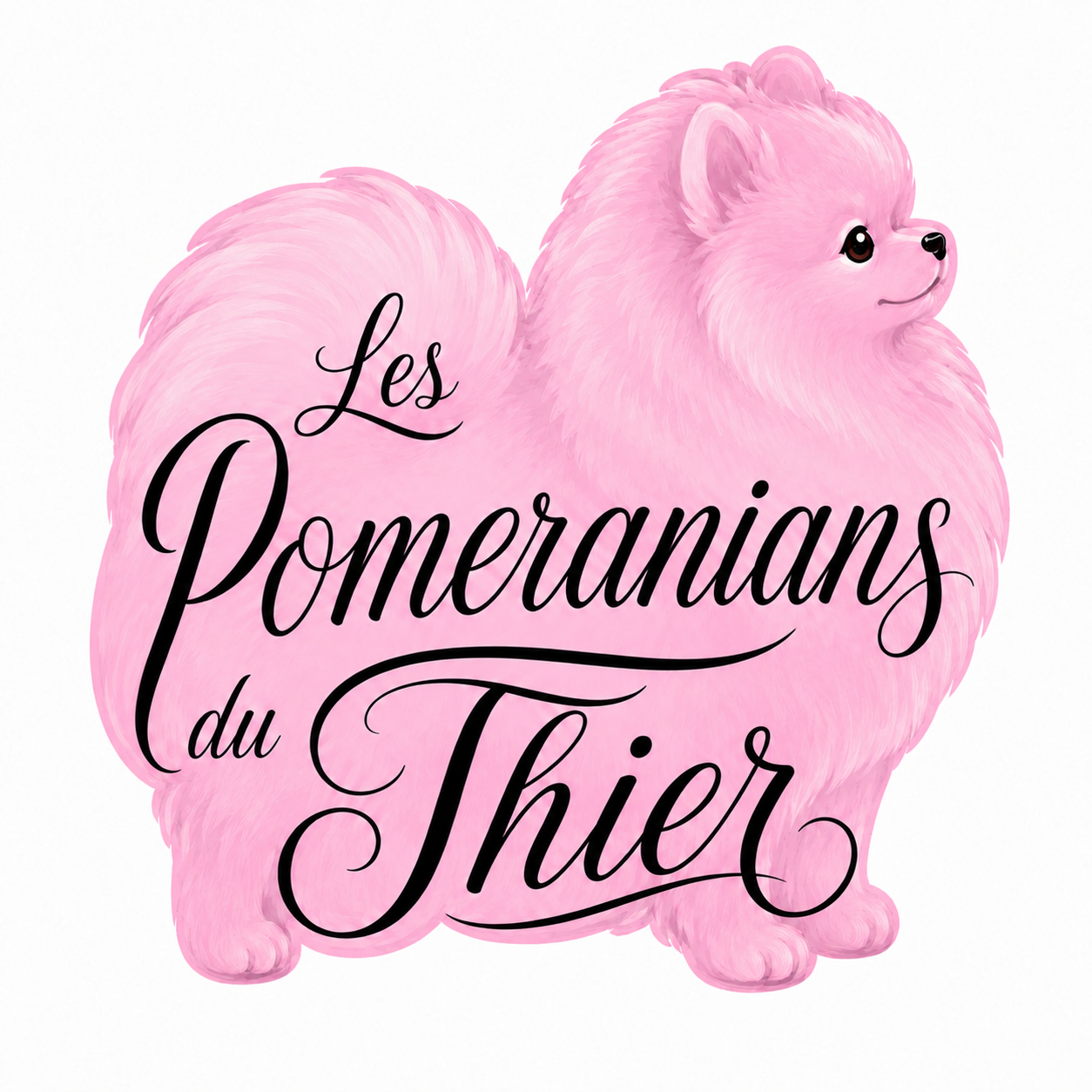 Photo du rédacteur: Les Pomeranians du Thier