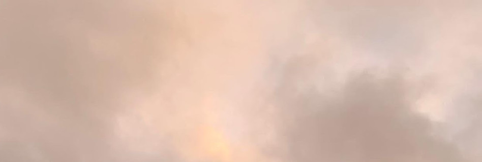 4A36B7D9-6E11-4575-A91D-2675DB05AD4A.jpeg