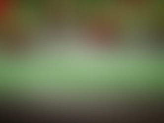 The Real Christmas Story