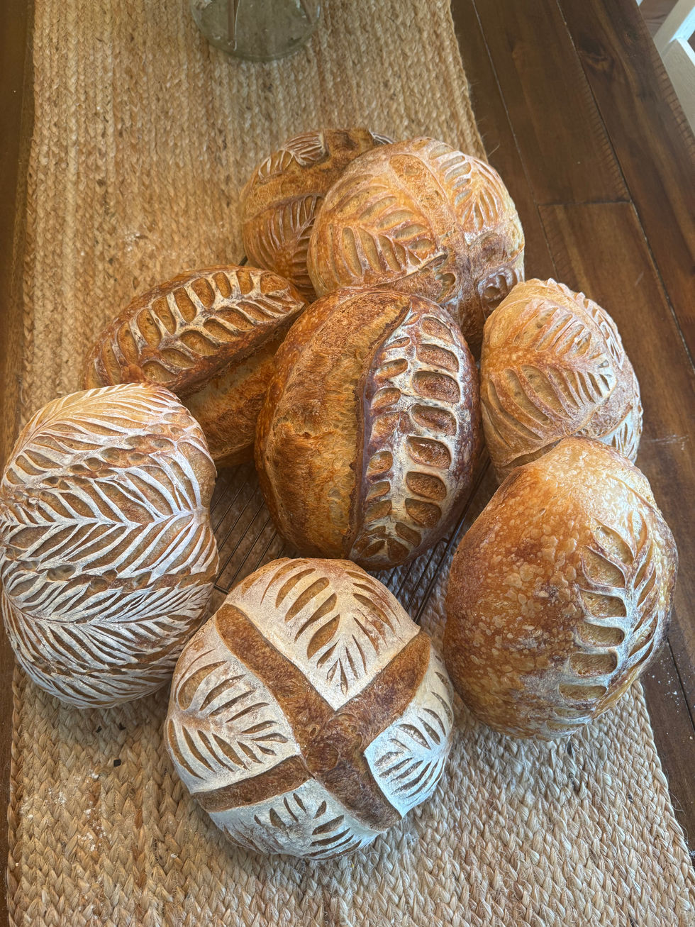 a grouping of seven artisan sourdough loaves