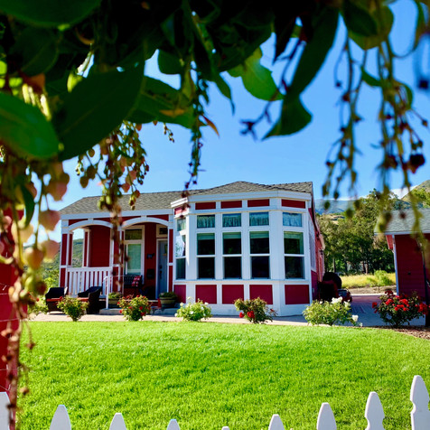 Front Yard