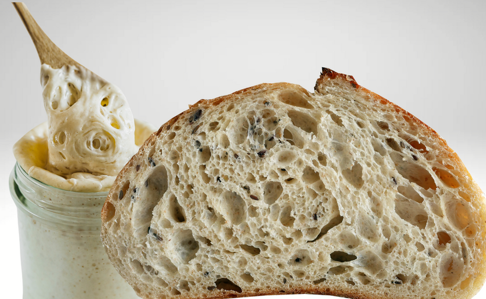 healthy starter and healthy sourdough loaf