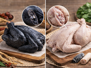 ไก่กระดูกดำ คืออะไร? ต่างจากไก่ทั่วไปอย่างไร และเหมาะกับใคร