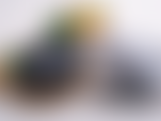 ราคาไก่ดำกิโลละเท่าไหร่? อัปเดตแนวโน้มราคา และปัจจัยที่ควรรู้ก่อนซื้อ