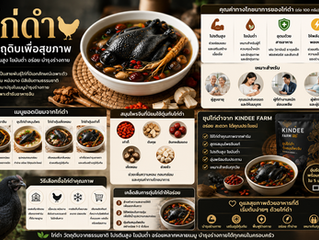 ไก่ดำ คืออะไร? ทำความรู้จักวัตถุดิบเพื่อสุขภาพที่ได้รับความนิยมมายาวนาน