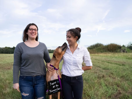 Sequoia, Liz and Julia | Pet Adoption
