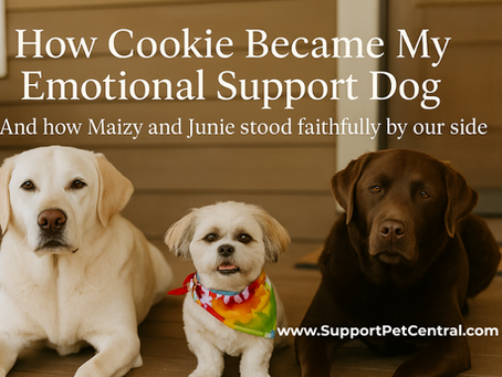 How My Dog Cookie Became My Emotional Support Animal