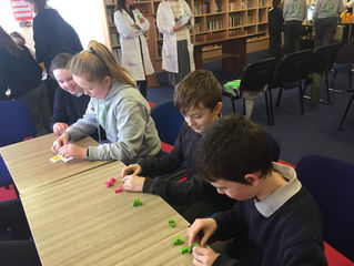 Science Week at Davitt College