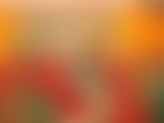 Confraternização de Amigas