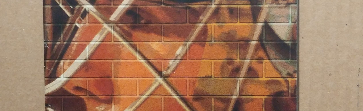 0655----2005 Mario Lemieux final game program - Crosby named Alternate Captain