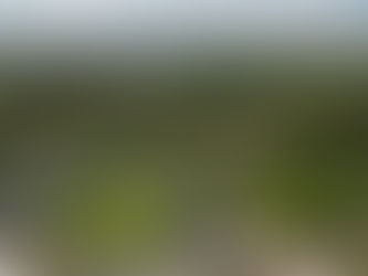 Spieltagsinfos: Highlight-Spiel im DFB-Pokal gegen den Hamburger SV
