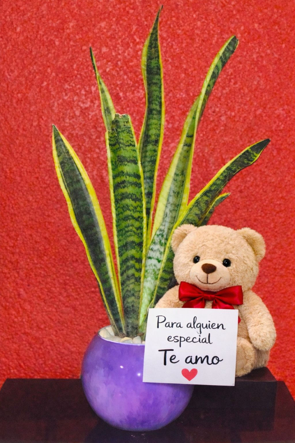 Lengua de suegra con oso de peluche y nota especial