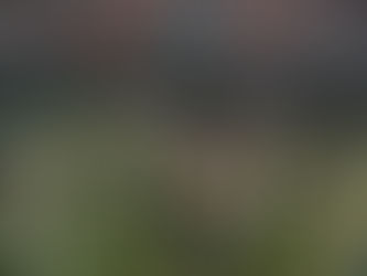 NSU edges Virginia State 34–31 in overtime. From the Presidential Box, fans, alumni, and leaders united to celebrate Spartan spirit and community