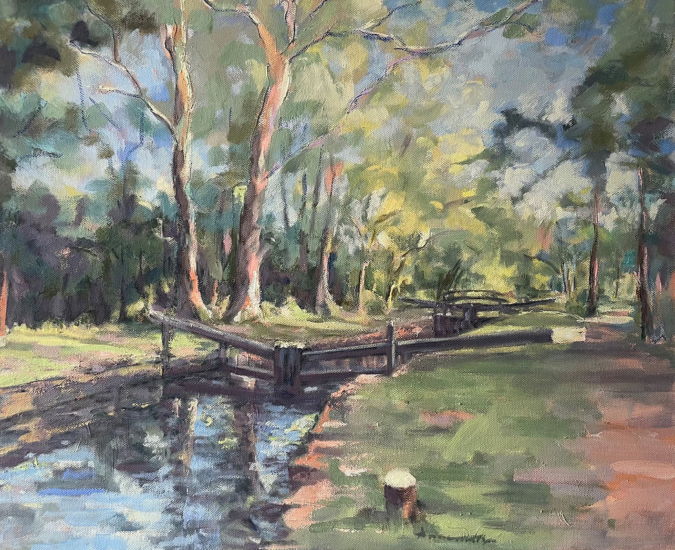 Locks on canal near West Byfleet 45 x 55cm