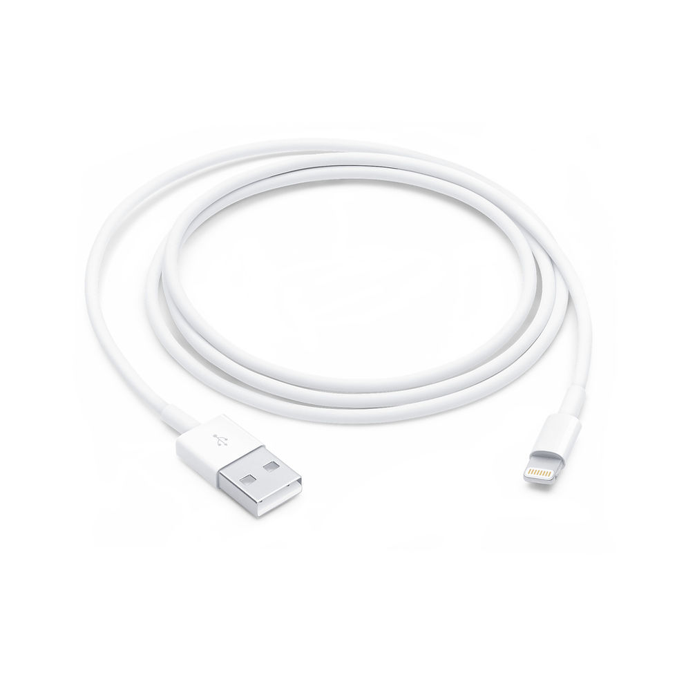 Miniatura: USB-C Fast Charging Cable (3 FT)