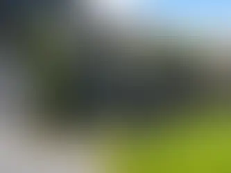 Moderner Zaun in einem gepflegten Garten in Kamp-Lintfort