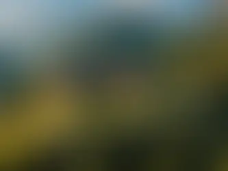 Unconventional Ways to Celebrate Valentine's Day with Time2Fly