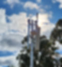20230526_113242_edited.jpg