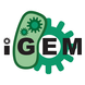 logo igem.png