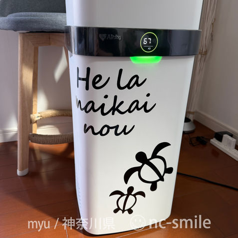 ハワイアン ステッカー ホヌ ハワイ語 He la maikai nou ヘラ マイカイ ノウ 良い一日を 屋外用 車 インテリア ノートパソコン などに (ブラック, XLサイズ) 