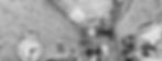 ip-team-bg-b.jpg
