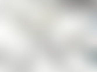 What Do Ancient Bones Tell Us About What People Ate for Dinner?