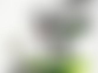 Did Ancient People Know That Cows Could Give Milk?