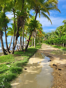 bocas del toro.jpg