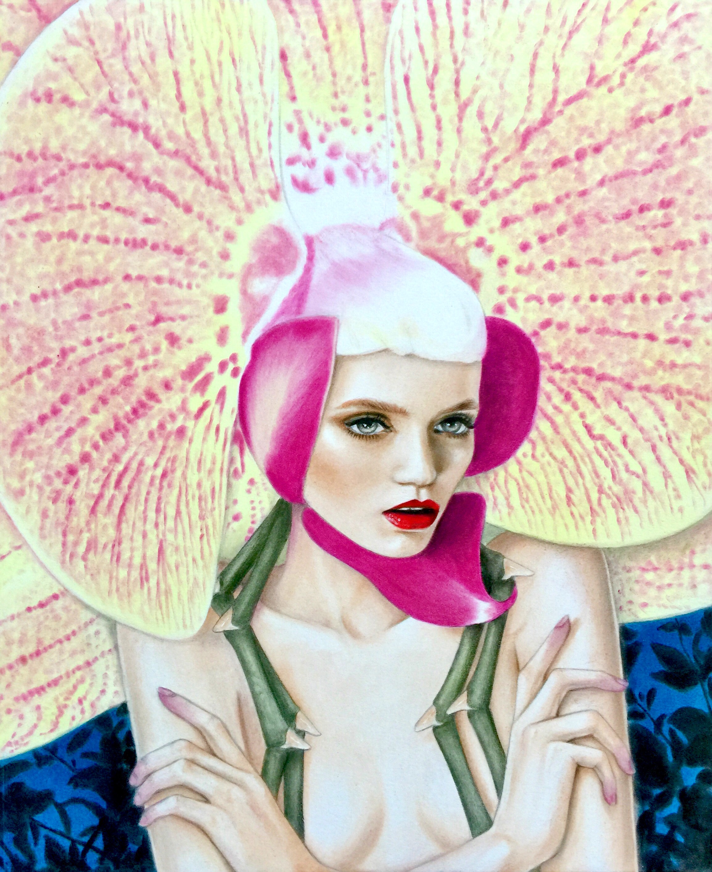 Elusive Orchid
