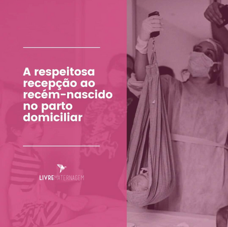 A respeitosa recepção ao recém-nascido no parto domiciliar