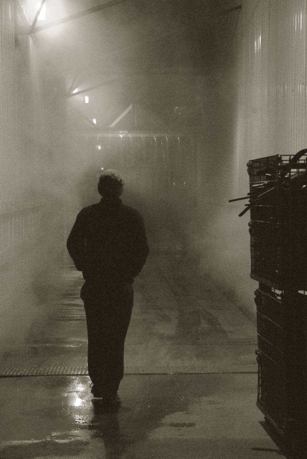 Alaska Noir