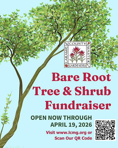 Instagram Post - 1080px x 1350 px (1).jpg