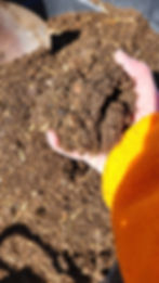 Hand holding composting results