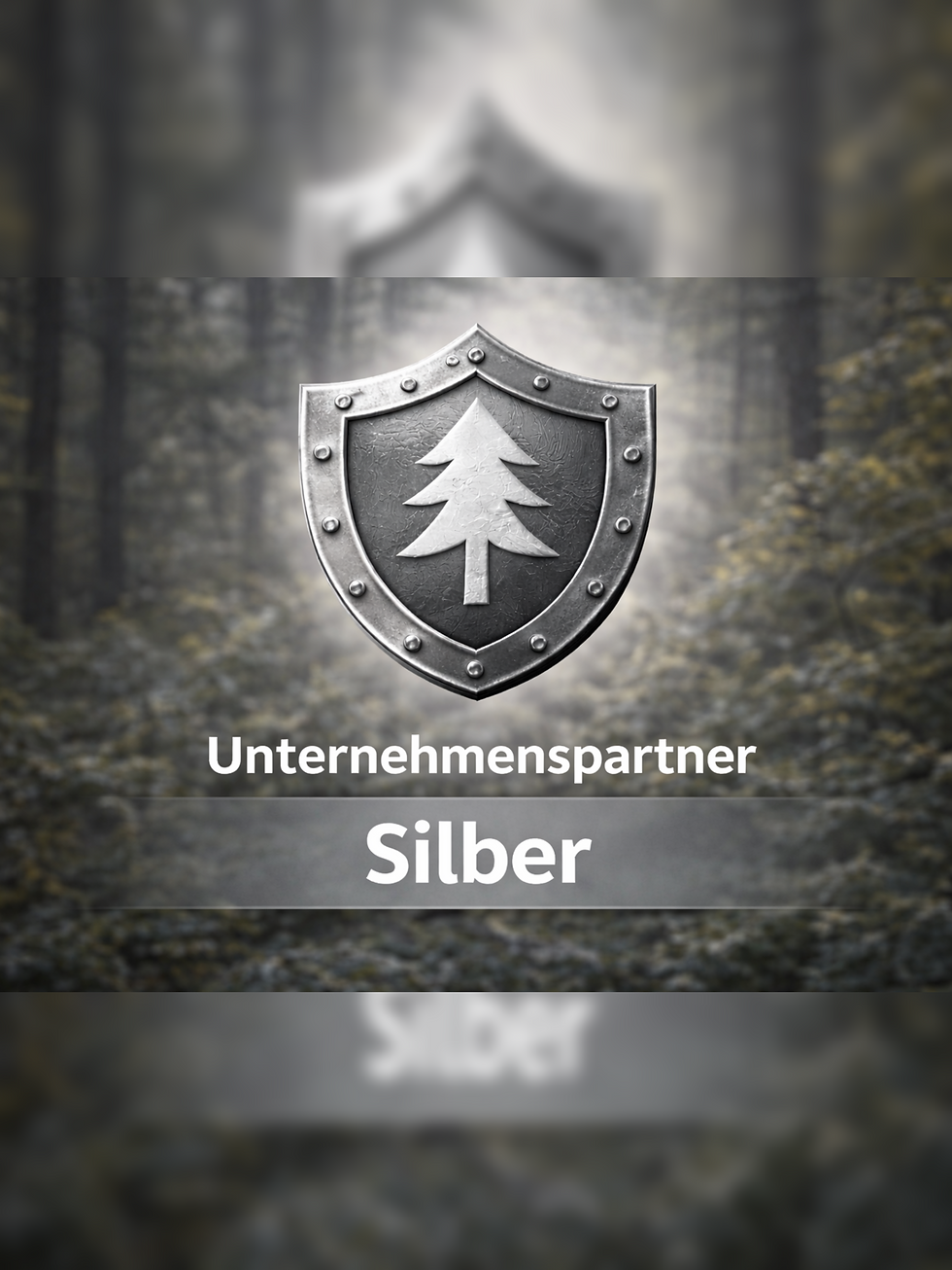 Unternehmenssponsor Silber