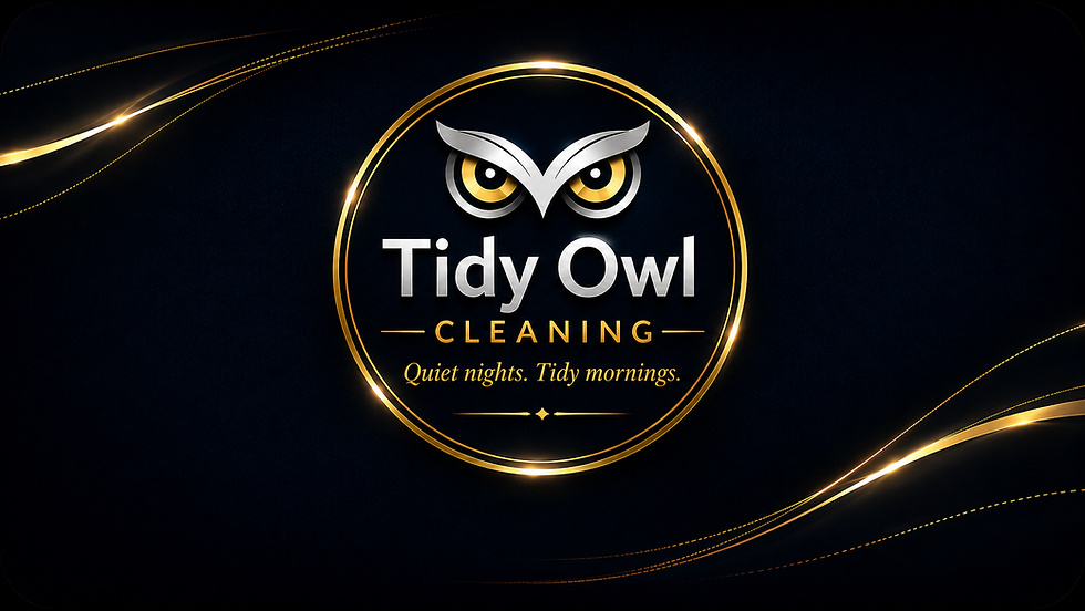 Tidy Owl Cleaning Logo