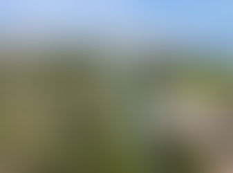 Se tienen buenas expectativas para las vacaciones de Semana Santa