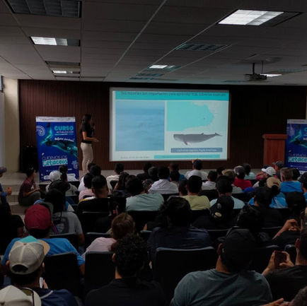 Realizan anticipadamente el curso de actualización para temporada de ballenas