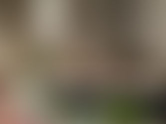 Hoteleros vallartenses piden participar directamente en la construcción de estrategias de promoción